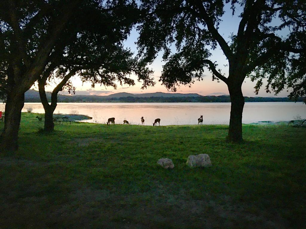 Medina Lake Camping Resort Cabin 3 Lakehills Eksteriør bilde
